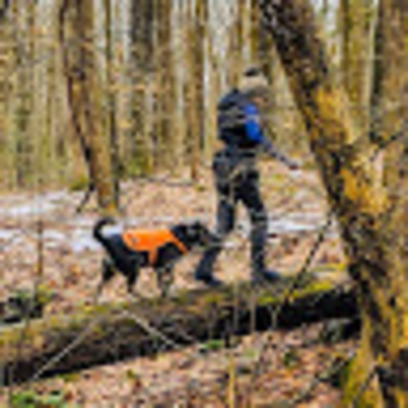 Meet your Posher, Jamie - Picture 1 of 1